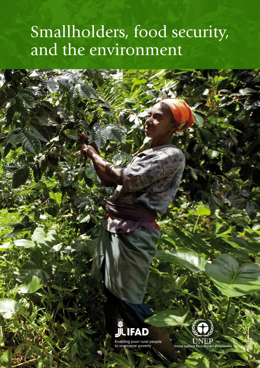Pdf Smallholders Food Security And The Environment