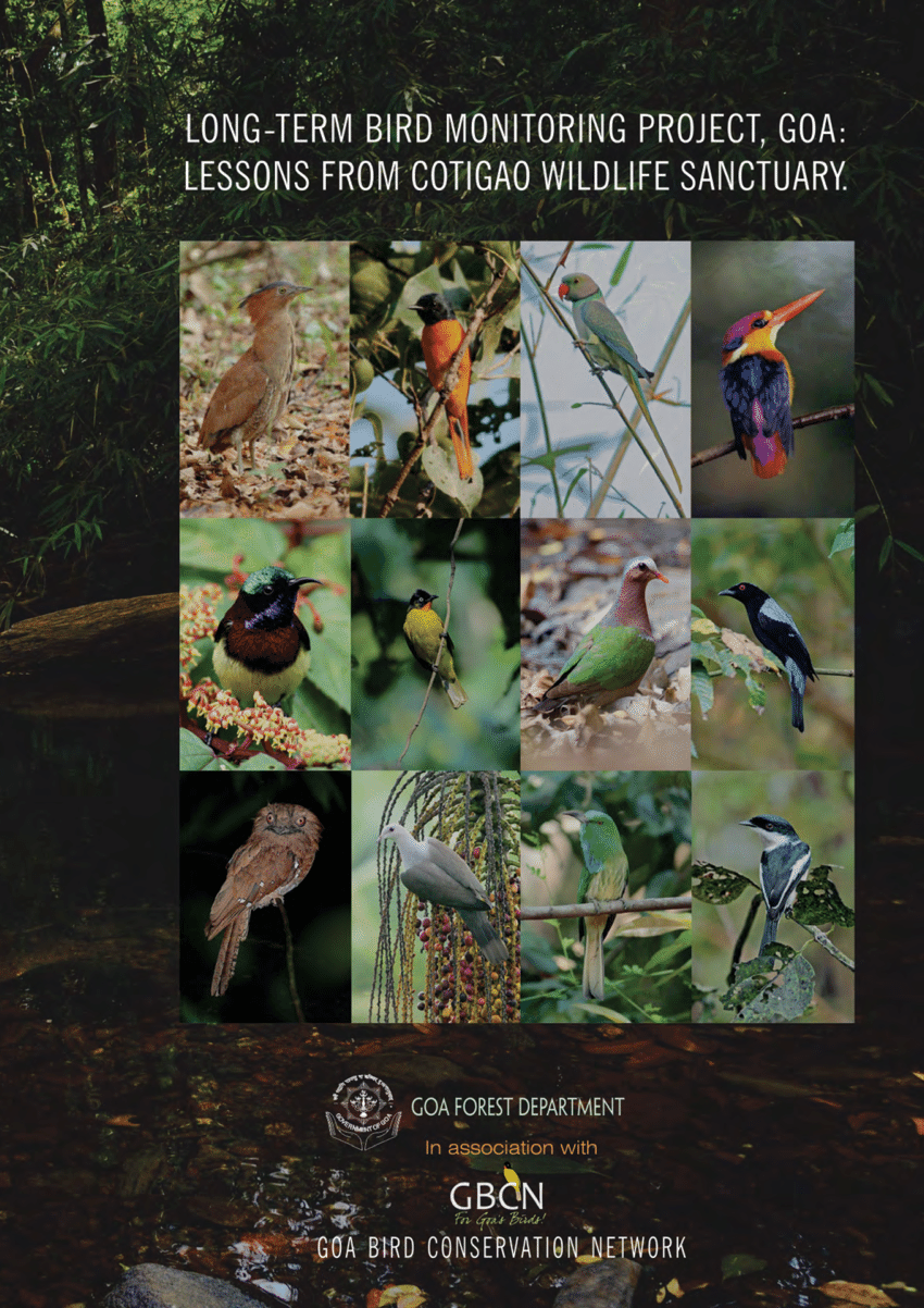 PDF) Long-term Bird Monitoring Project, Goa: Lessons from Cotigao Wildlife  Sanctuary.
