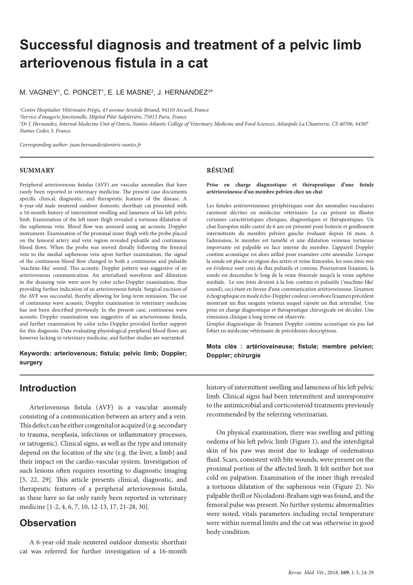 Pdf Successful Diagnosis And Treatment Of A Pelvic Limb Arteriovenous Fistula In A Cat