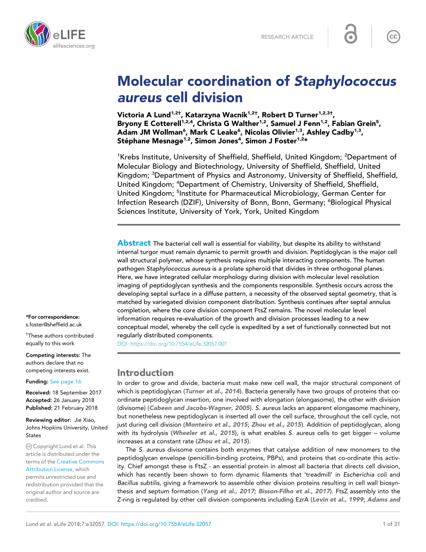 Pdf Molecular Coordination Of Staphylococcus Aureus Cell Division