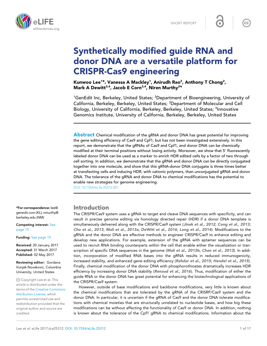 (PDF) Synthetically modified guide RNA and donor DNA are a versatile