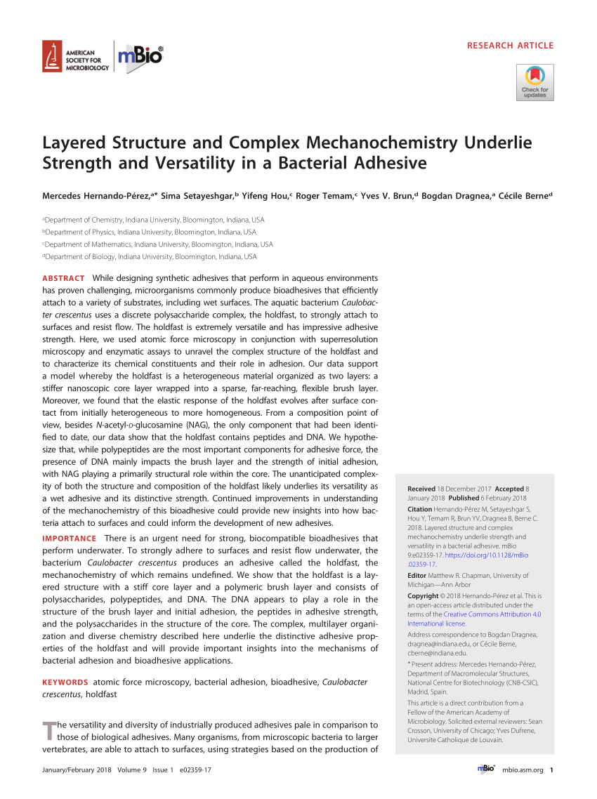 PDF) Layered Structure and Complex Mechanochemistry Underlie
