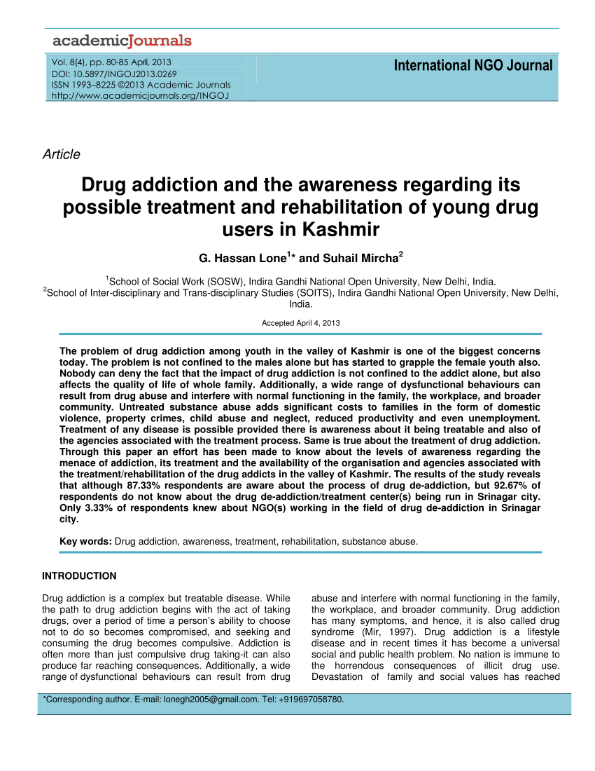 literature review on drug addiction pdf