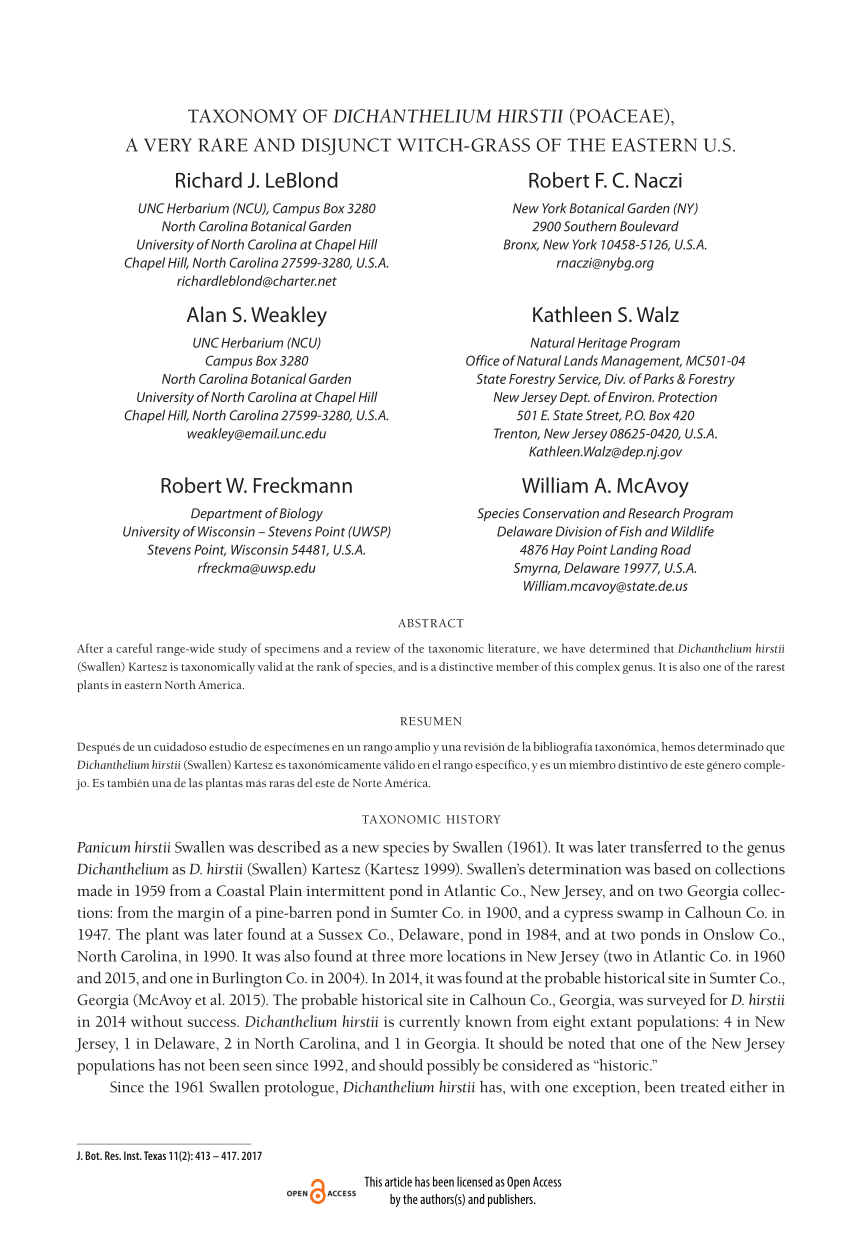 Pdf Taxonomy Of Dichanthelium Hirstii Poaceae A Very Rare And Disjunct Witch Grass Of The Eastern U S