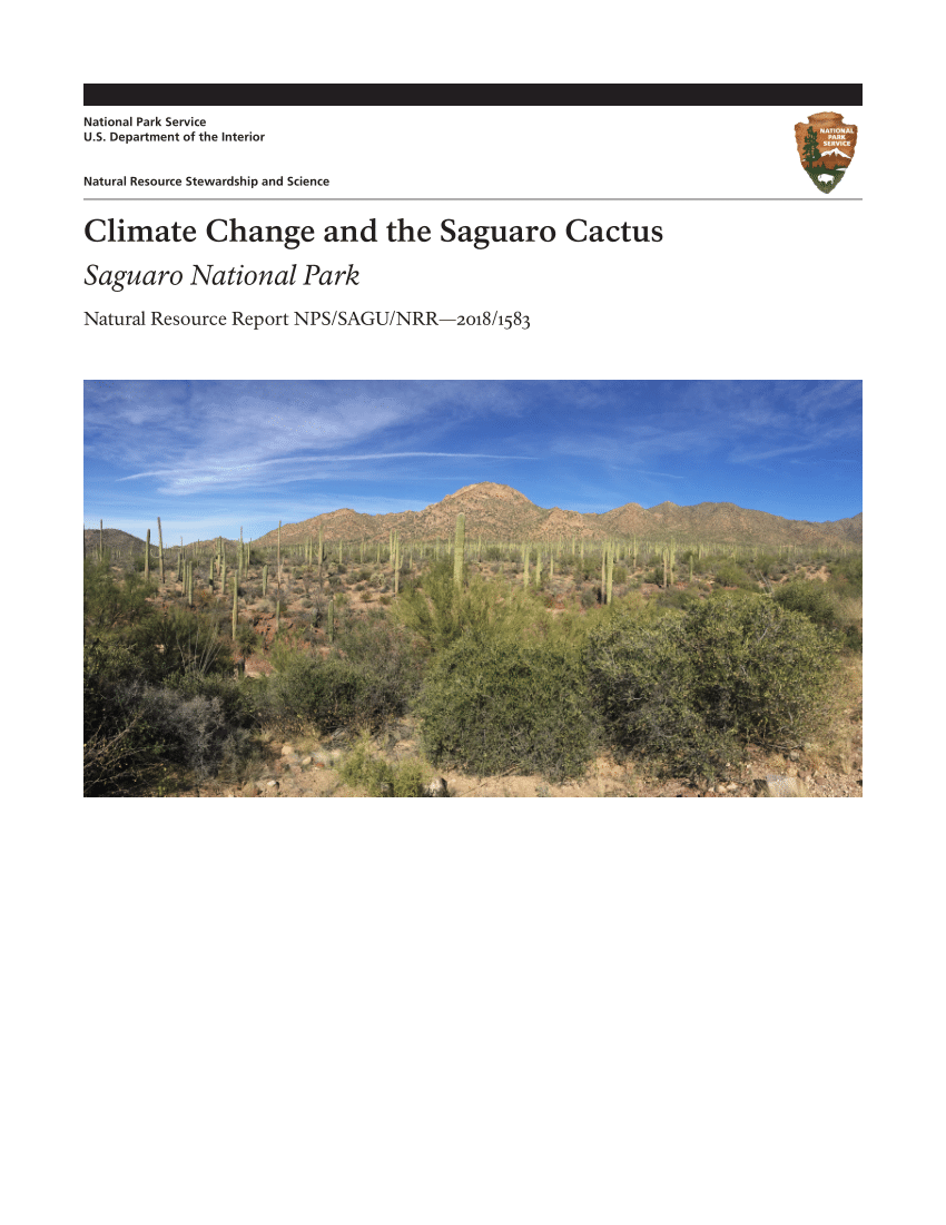 Saguaro Cactus Growth Rate Chart