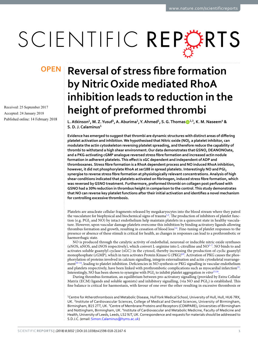 PDF) Reversal of stress fibre formation by Nitric Oxide mediated 