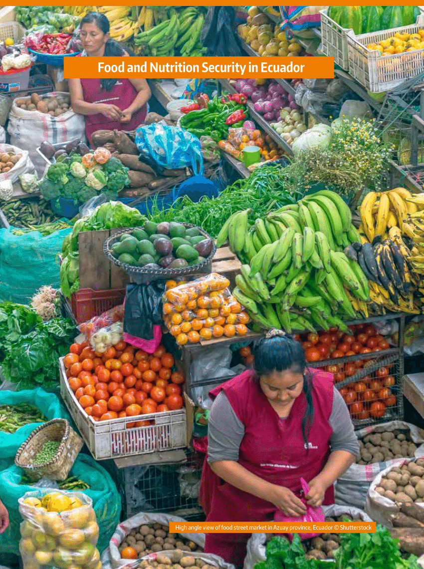 PDF) Food and Nutrition Security in Ecuador
