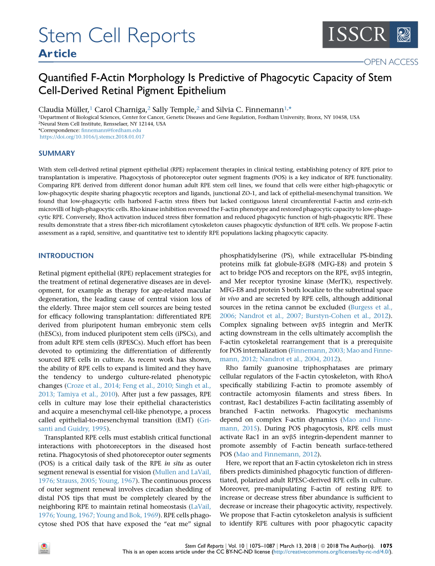 PDF) Quantified F-Actin Morphology Is Predictive of Phagocytic ...