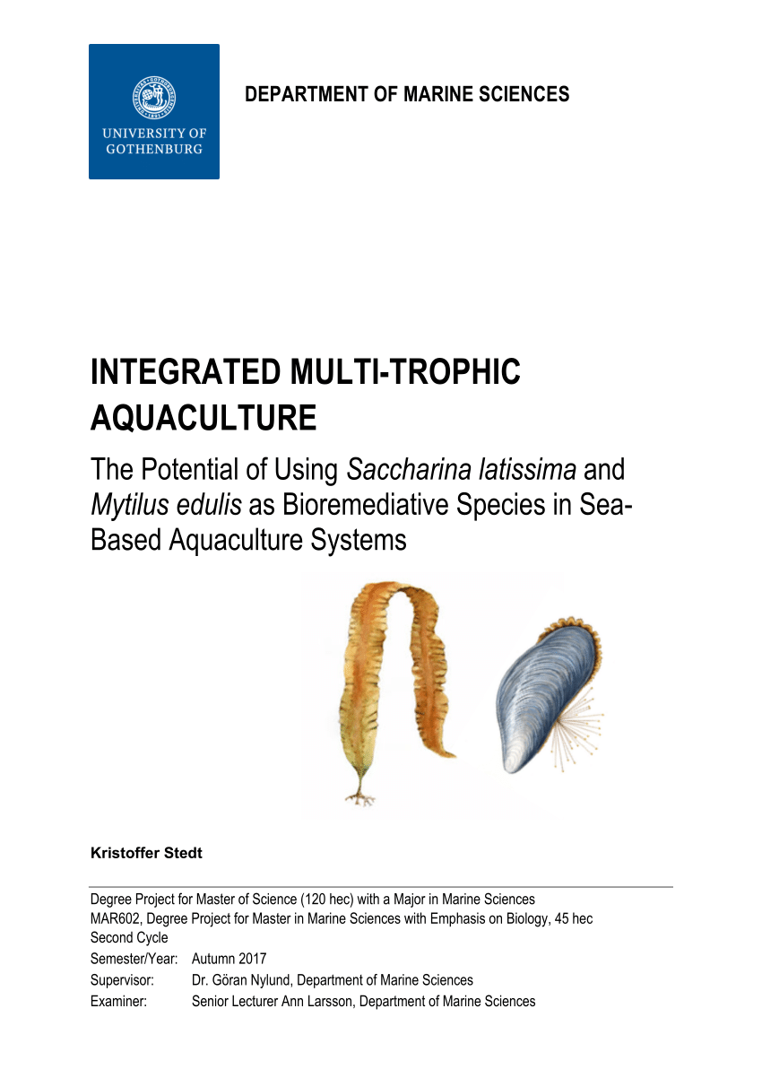 doctoral thesis in aquaculture