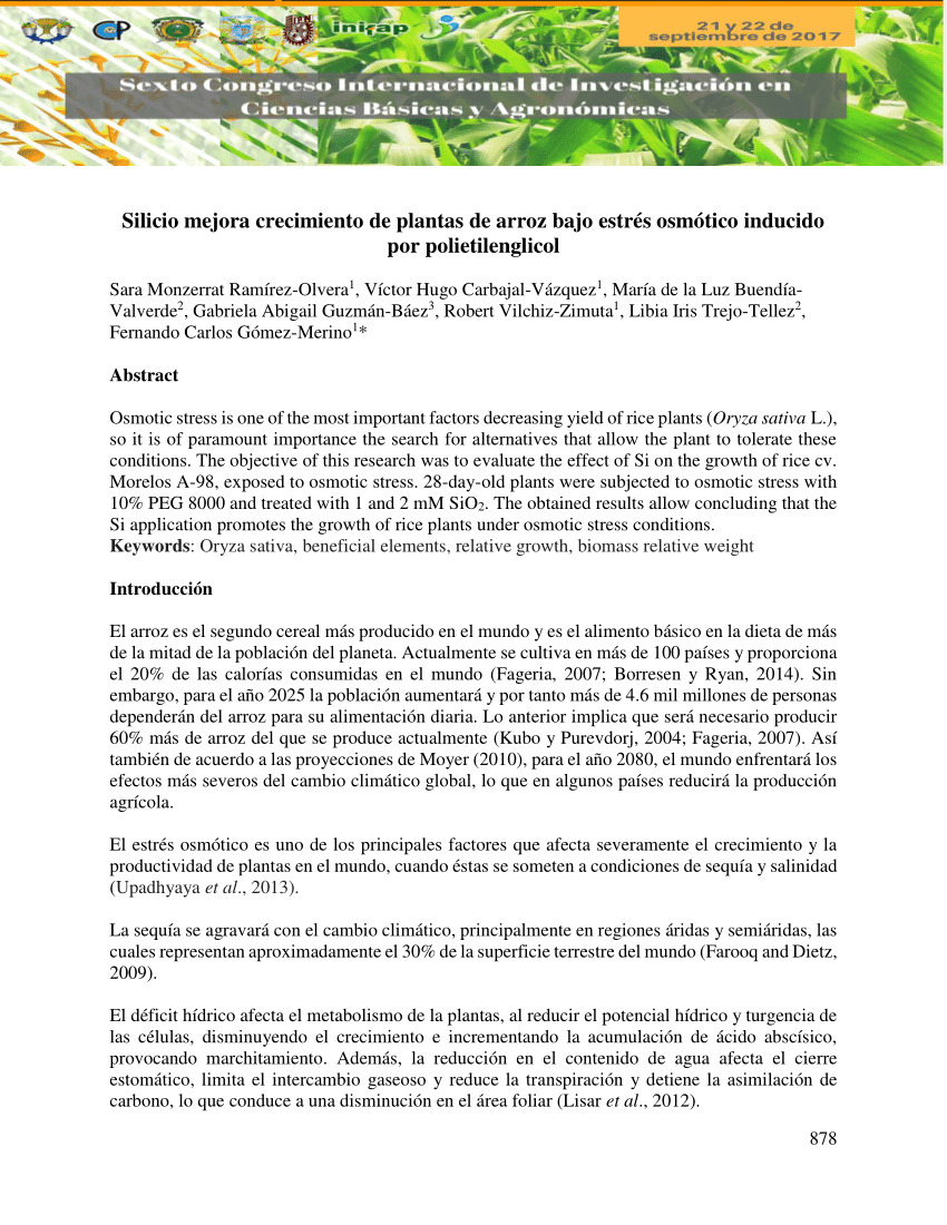 (PDF) SILICIO MEJORA CRECIMIENTO DE PLANTAS DE ARROZ BAJO ESTRÉS ...