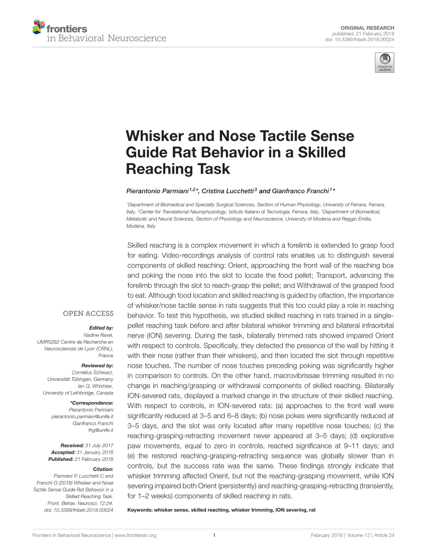Frontiers  Whisker and Nose Tactile Sense Guide Rat Behavior in a Skilled  Reaching Task