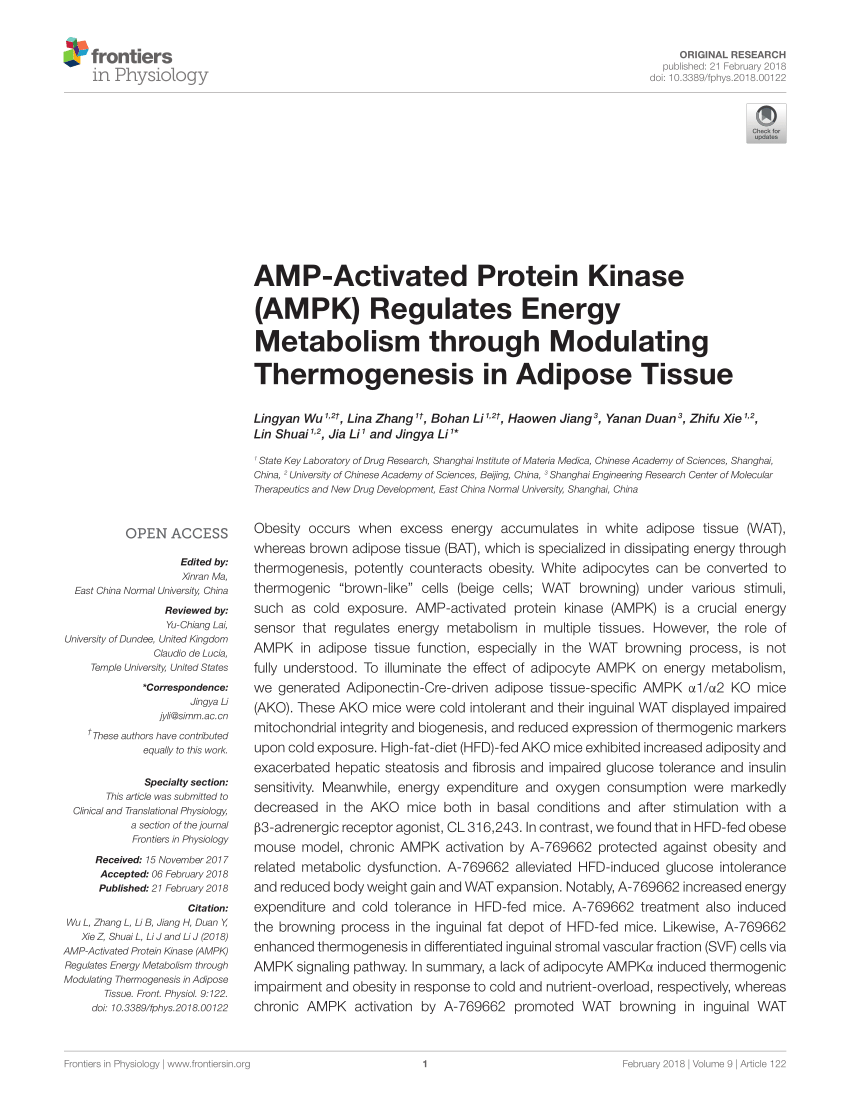 PDF) AMP-Activated Protein Kinase (AMPK) Regulates Energy 
