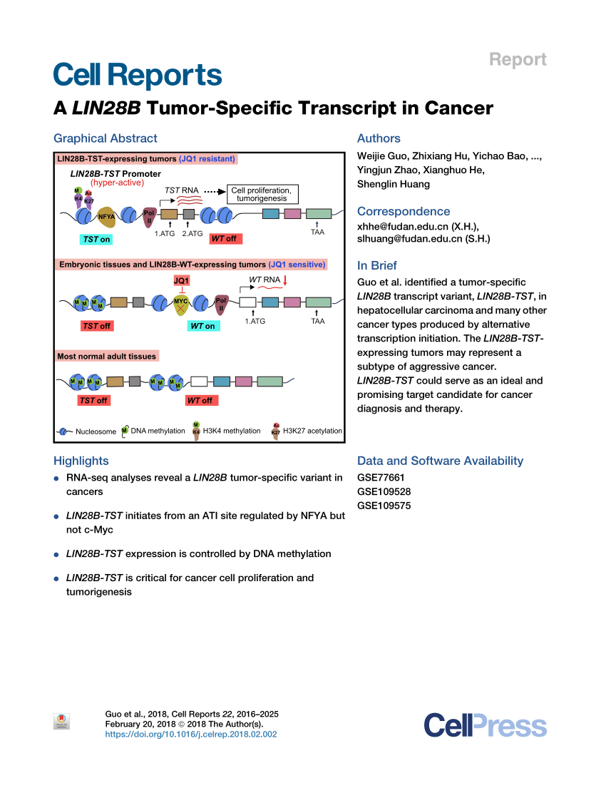 (PDF) A LIN28B Tumor-Specific Transcript in Cancer