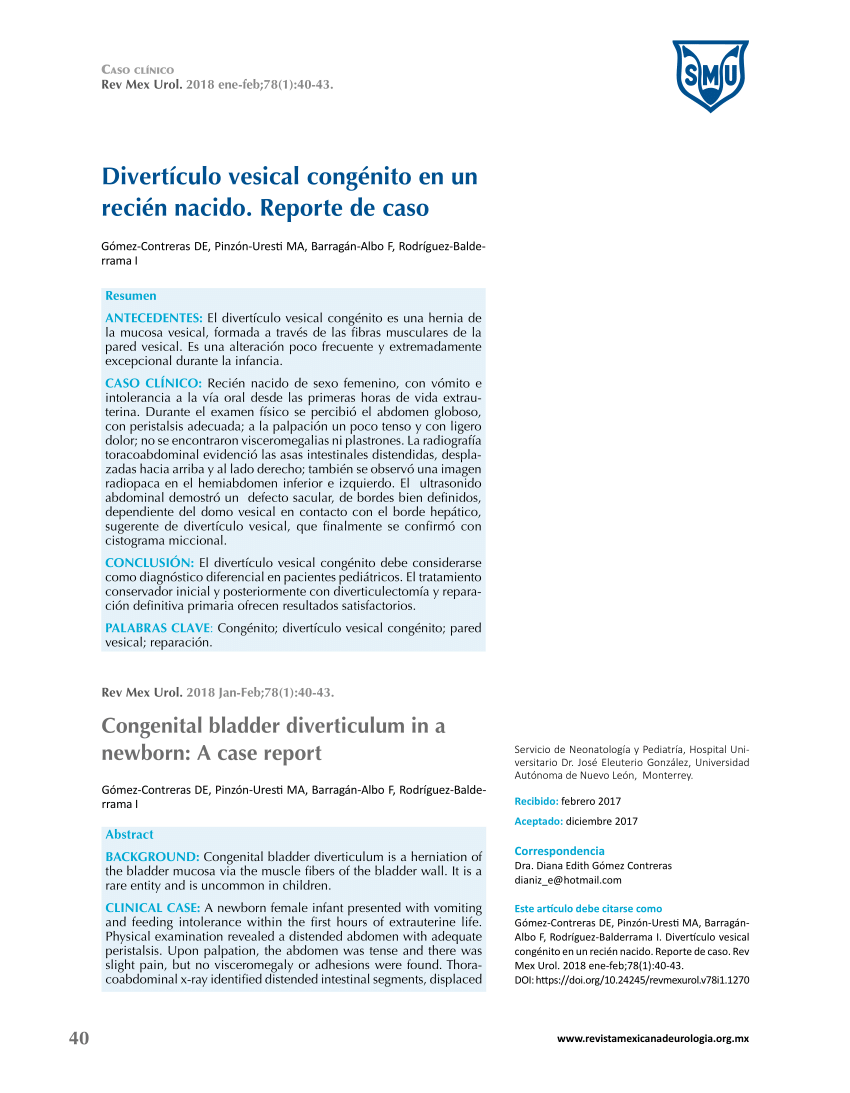 PDF Divertículo vesical congénito en un recién nacido Reporte de  