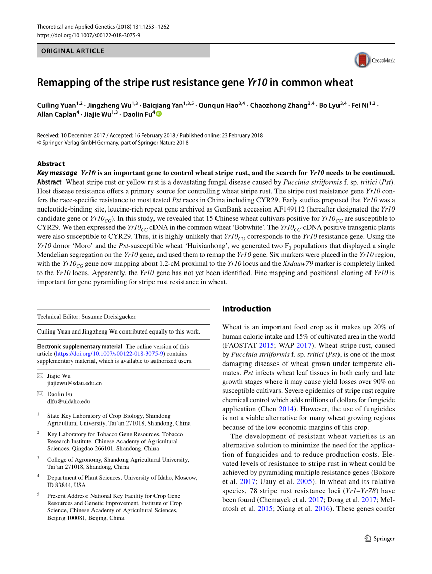 research papers on stripe rust