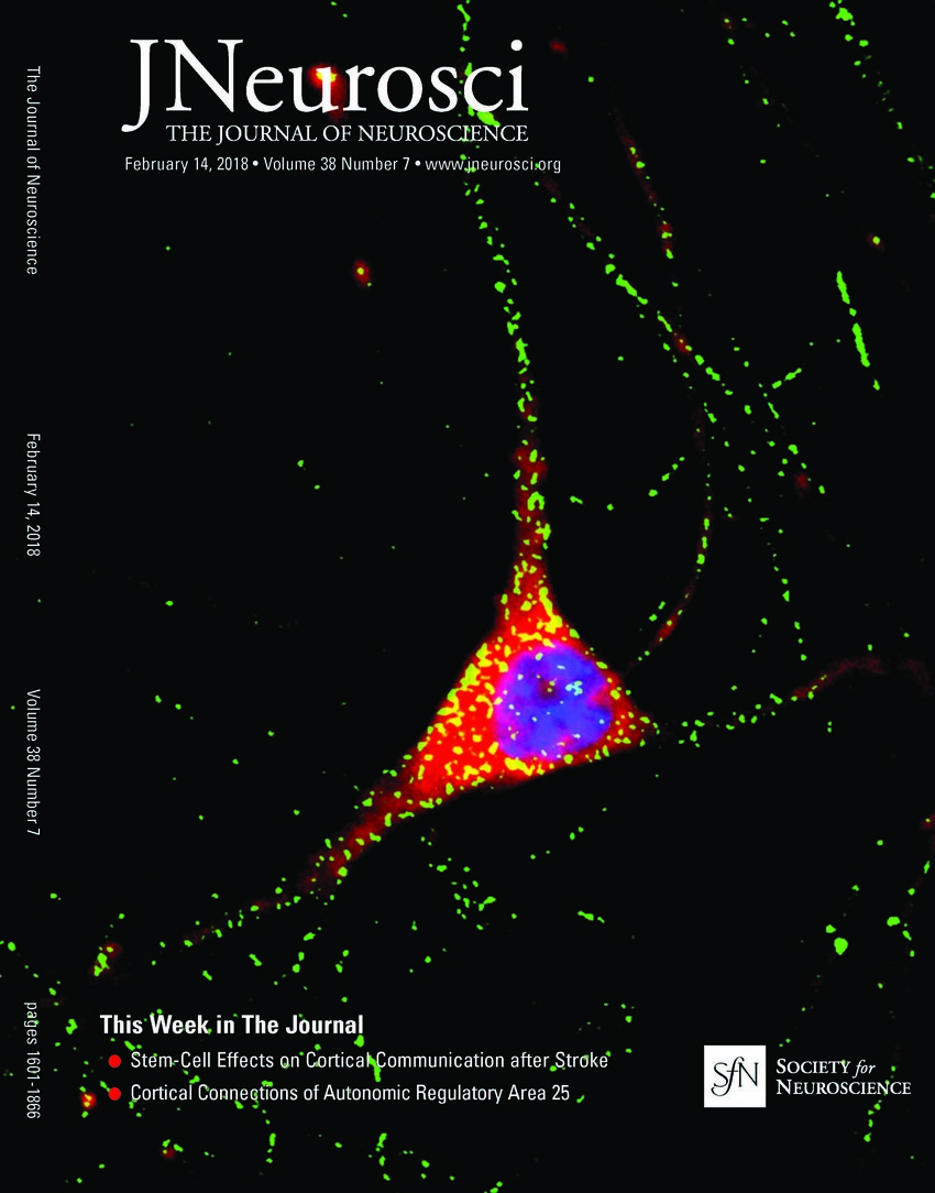 journal of neuroscience cover letter