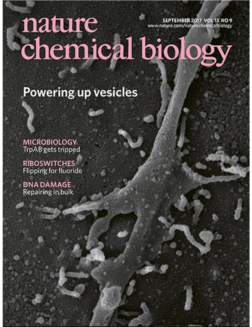husmor september Robe PDF) Nature Chemical Biology Cover Vol. 13, Issue 9, September 2017