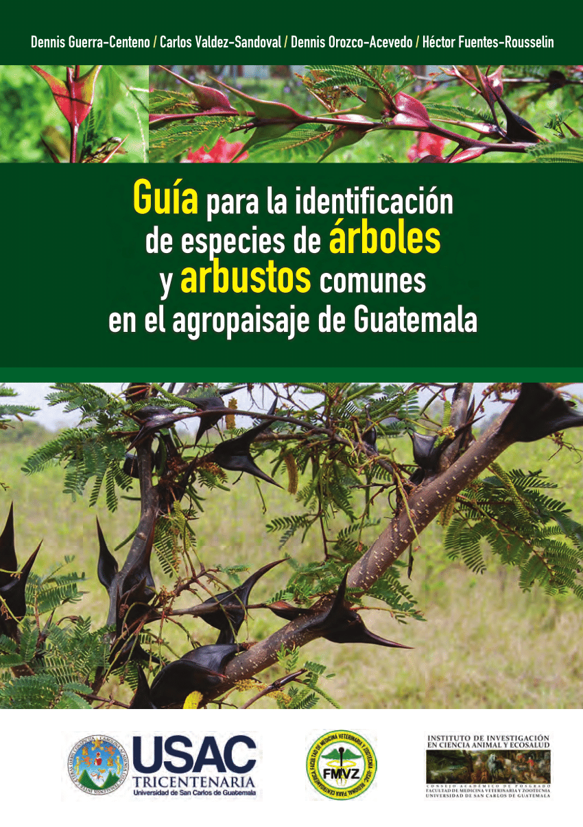 PDF) Guía para la identificación de especies de árboles y arbustos comunes  en el agropaisaje de Guatemala.