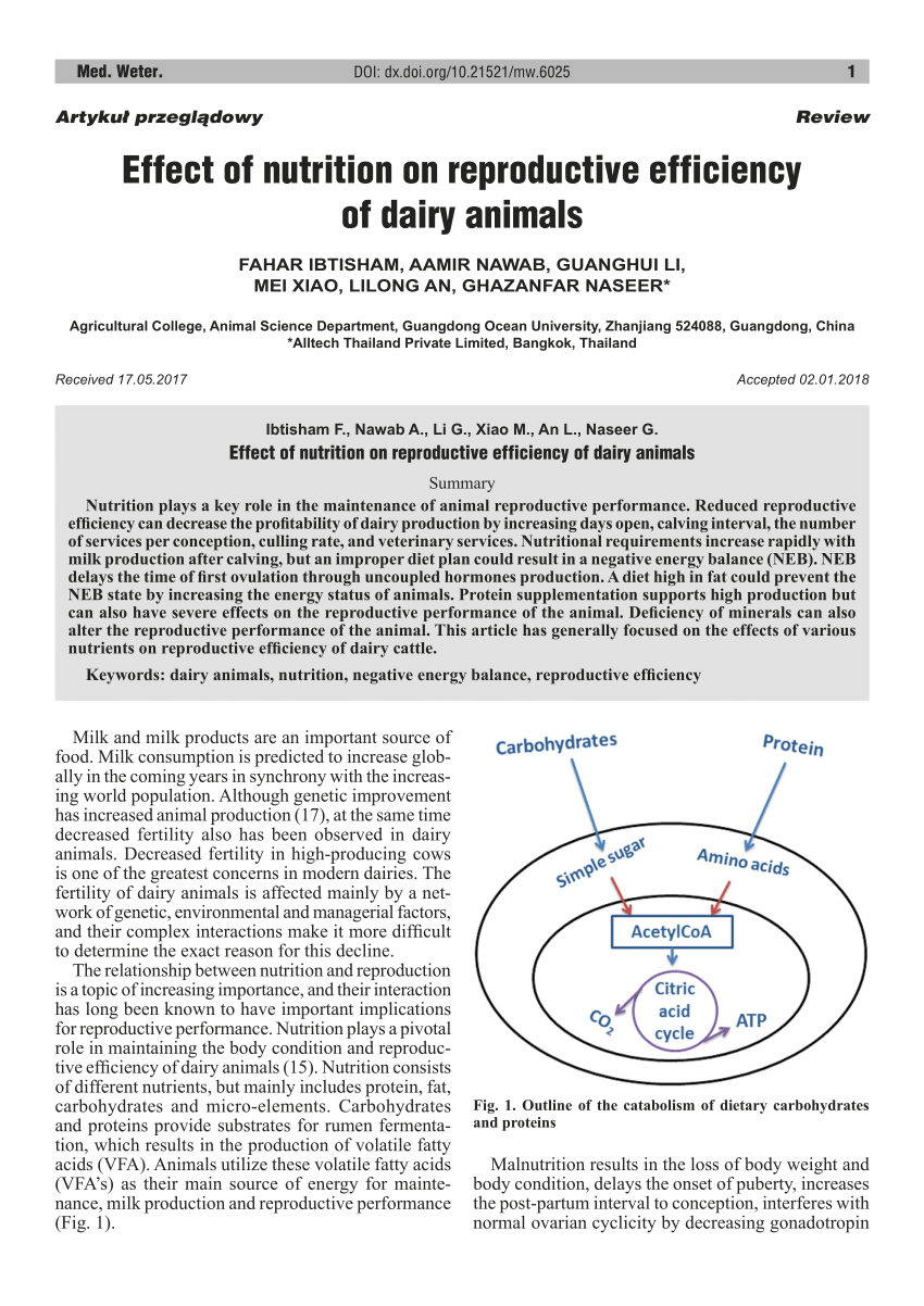 PDF) Effect of nutrition on reproductive efficiency of dairy animals