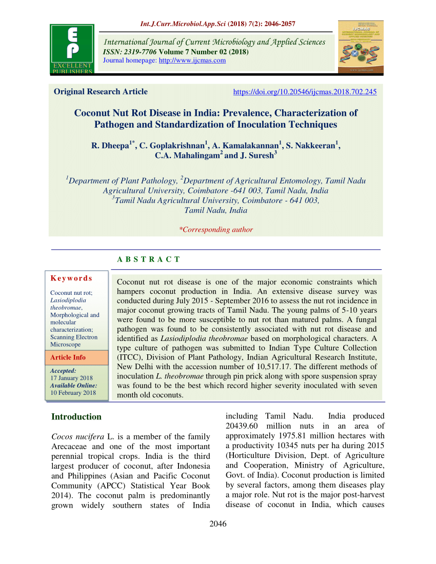 Pdf Coconut Nut Rot Disease In India Prevalence Characterization Of Pathogen And Standardization Of Inoculation Techniques