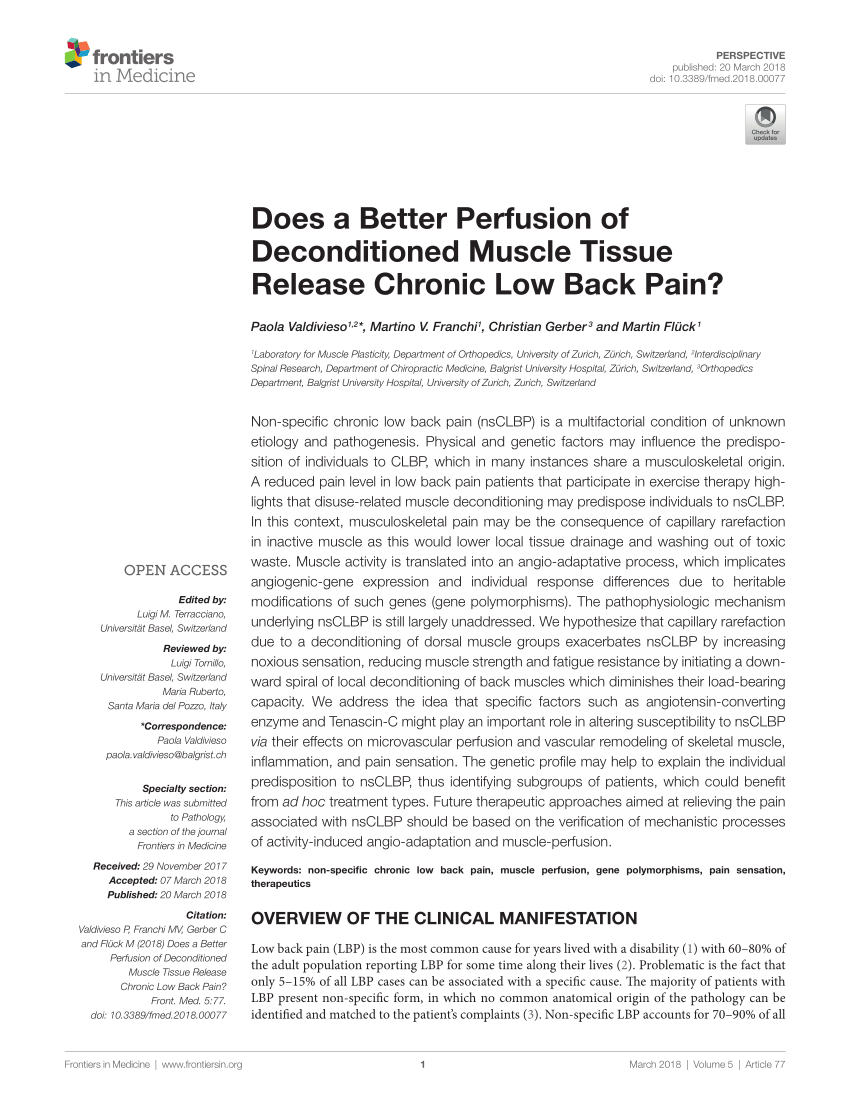 https://i1.rgstatic.net/publication/323628403_Does_a_Better_Perfusion_of_Deconditioned_Muscle_Tissue_Release_Chronic_Low_Back_Pain/links/64493ca65762c95ac352bb1e/largepreview.png