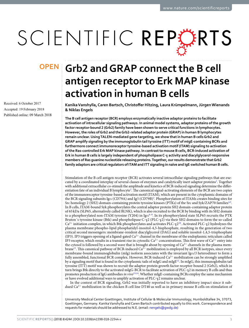 PDF) Grb2 and GRAP connect the B cell antigen receptor to Erk MAP