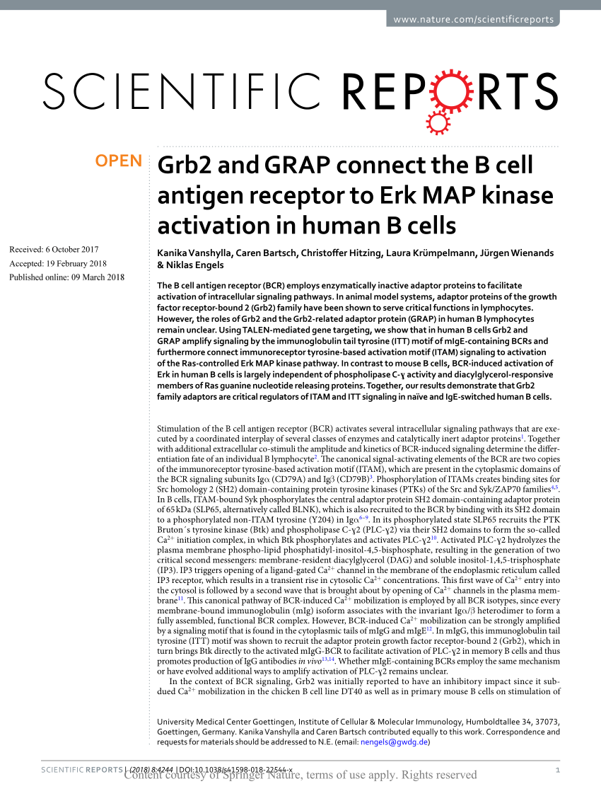 PDF) Grb2 and GRAP connect the B cell antigen receptor to Erk MAP