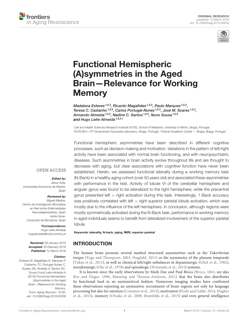 PDF) Functional Hemispheric (A)symmetries in the Aged Brain 