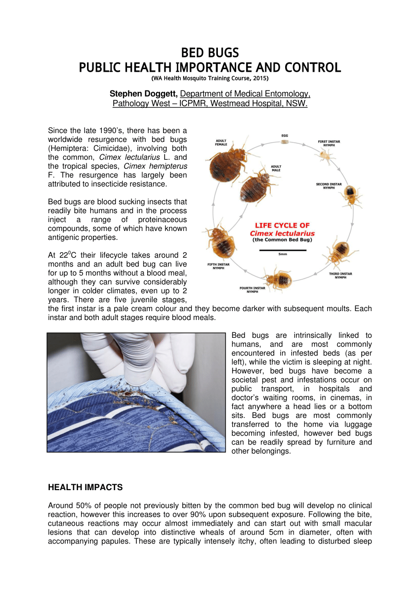 Awesomepest Bed Bug Control Dallas