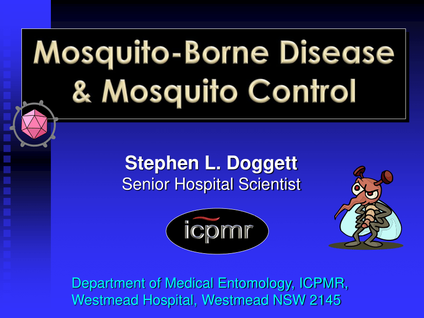 mosquito borne disease research paper