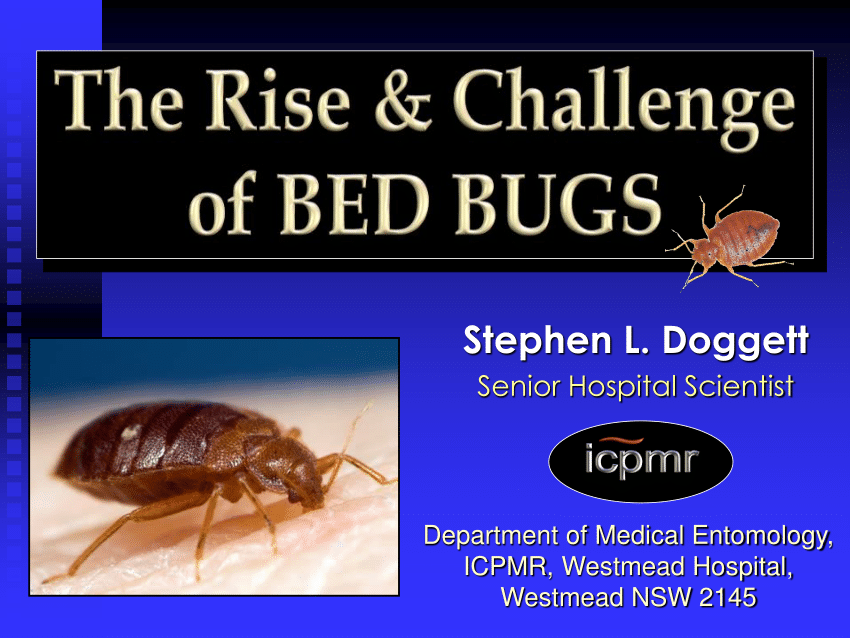 pdf-the-rise-and-challenge-of-bed-bugs