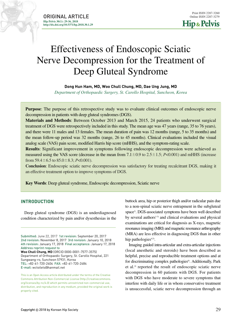 Pdf Effectiveness Of Endoscopic Sciatic Nerve Decompression For The Treatment Of Deep Gluteal 2373