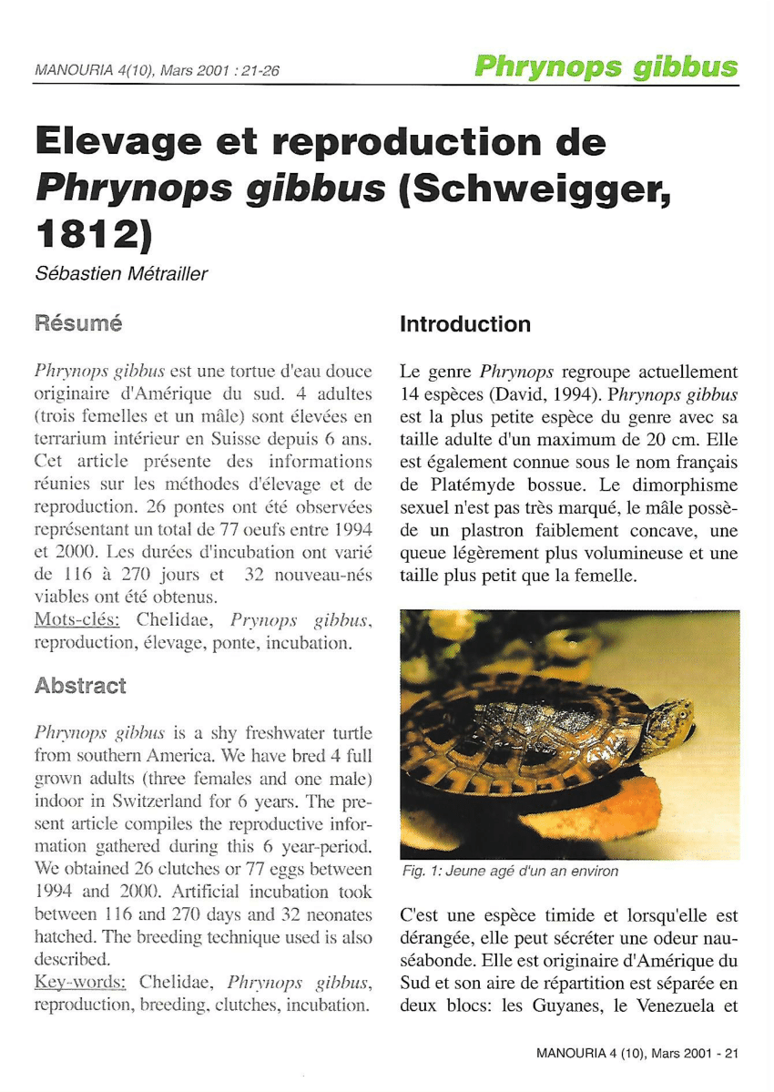 Pdf Elevage Et Reproduction De Phrynops Gibbus Schweigger