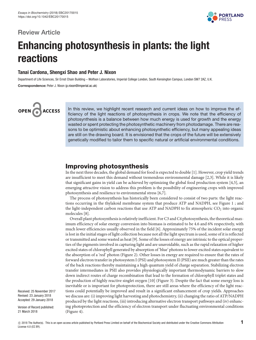 very short essay on photosynthesis