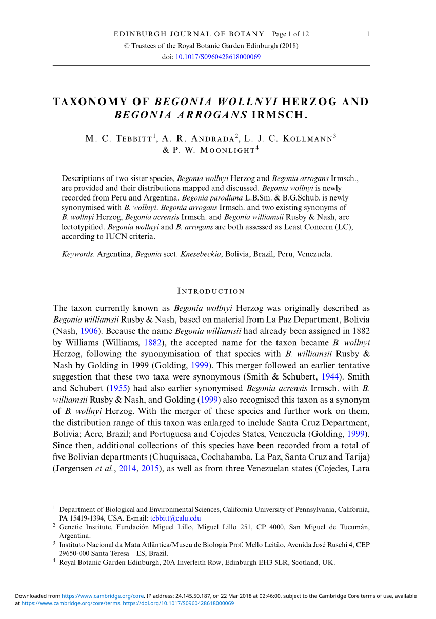 PDF) Taxonmy of Begonia wollnyi Herzog and Begonia arrogans Irmsch.