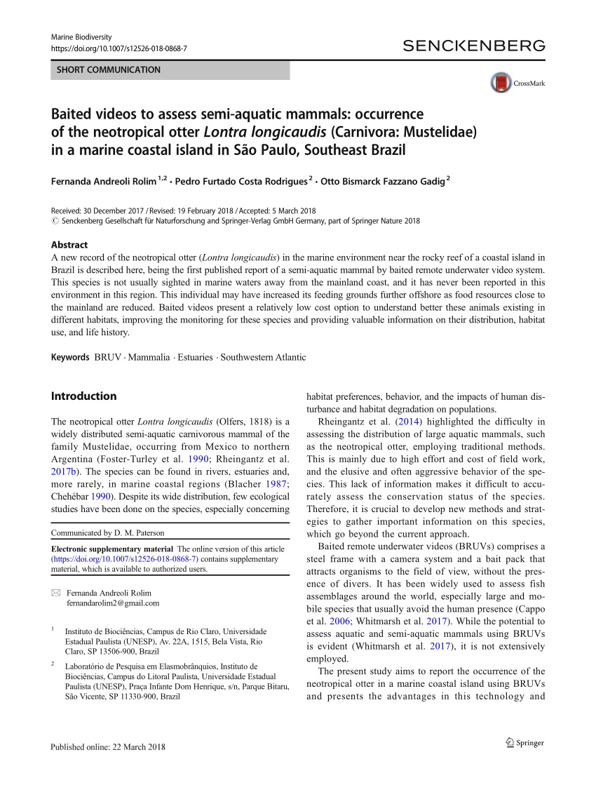 (PDF) Baited videos to assess semi-aquatic mammals: occurrence of the