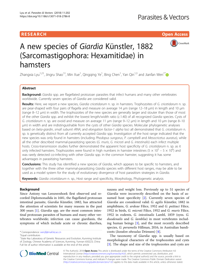 Giardia species dna, ﻿furazolidon vétel ellen Giardia - nyelvprofil.hu