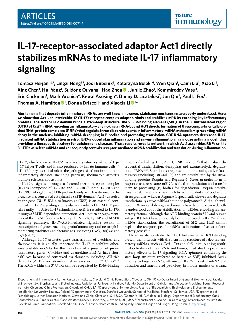 Il 17 Receptor Associated Adaptor Act1 Directly Stabilizes Mrnas To Mediate Il 17 Inflammatory Signaling