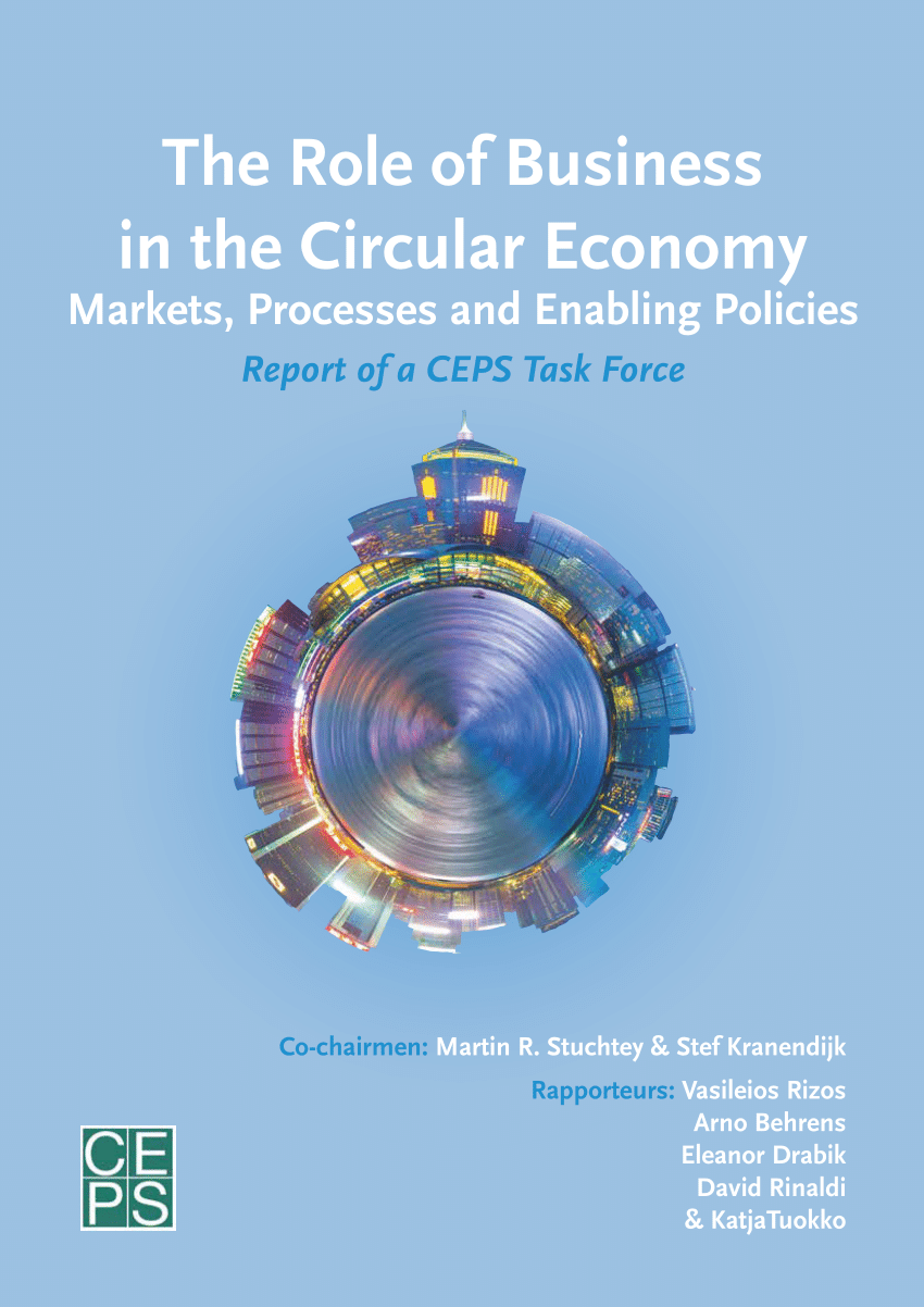 PDF The Role of Business in the Circular Economy Markets ...