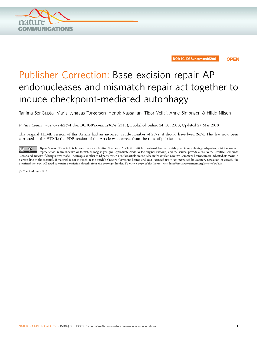 Pdf Publisher Correction Base Excision Repair Ap Endonucleases And Mismatch Repair Act Together To Induce Checkpoint Mediated Autophagy