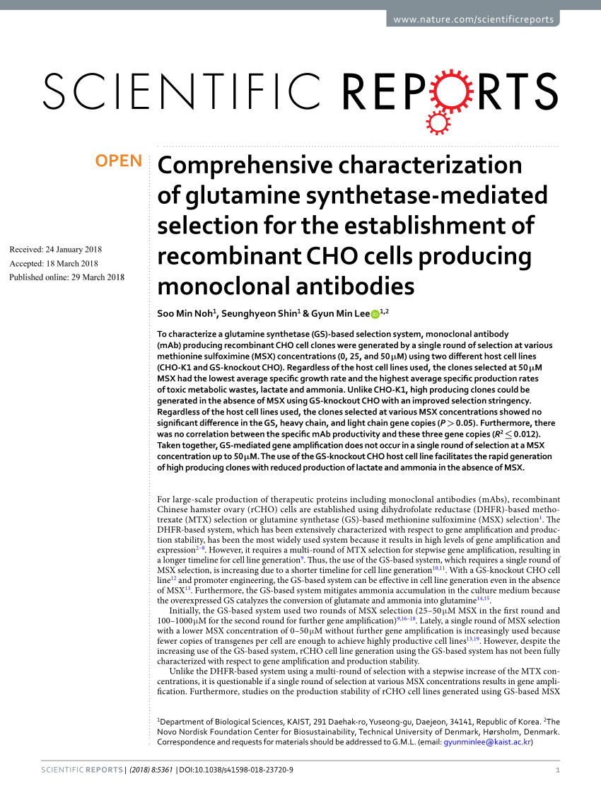 Pdf Comprehensive Characterization Of Glutamine Synthetase Mediated Selection For The Establishment Of Recombinant Cho Cells Producing Monoclonal Antibodies