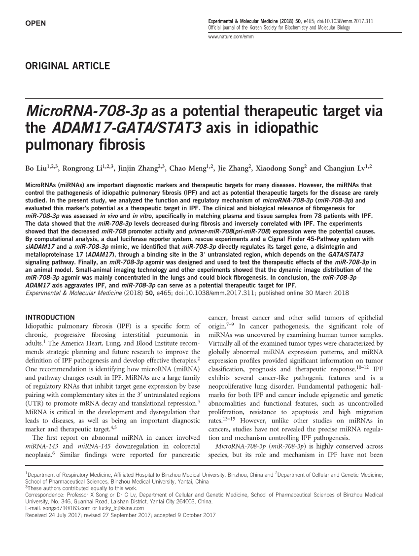 (PDF) The MNK1/2-eIF4E Axis as a Potential Therapeutic 