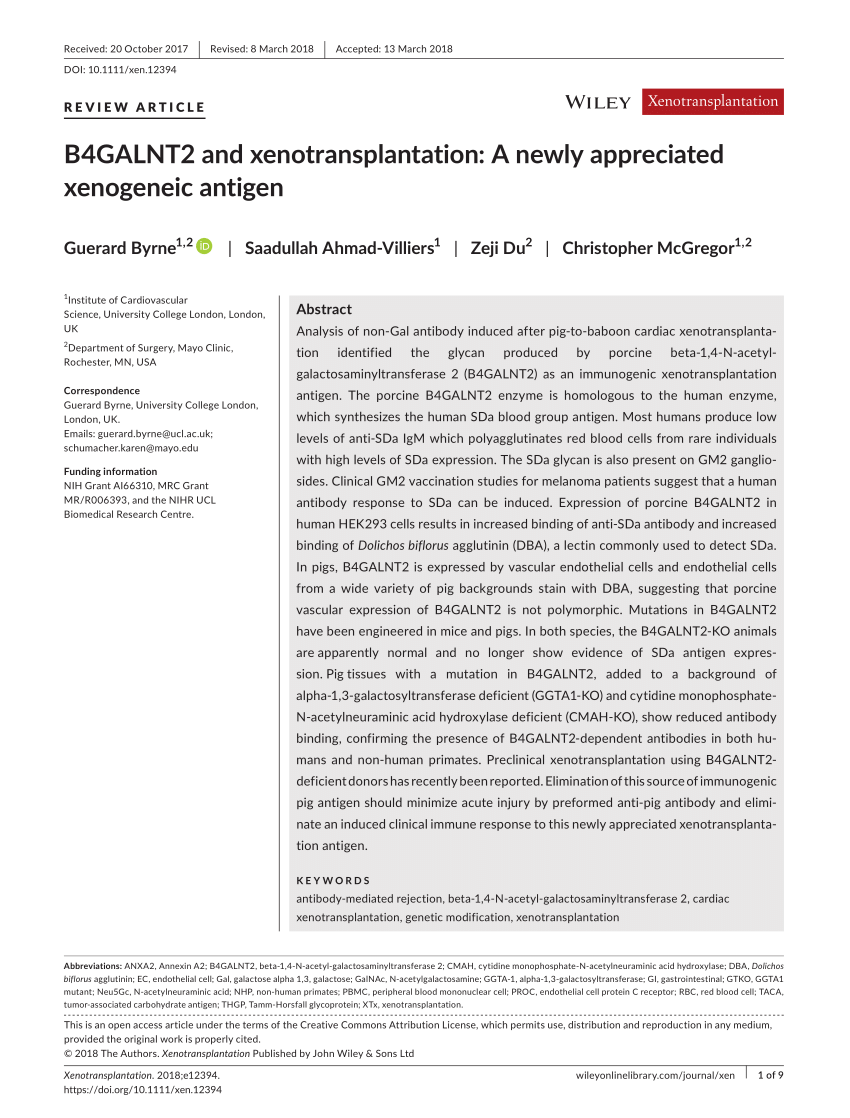 (PDF) B4GALNT2 and xenotransplantation A newly appreciated xenogeneic