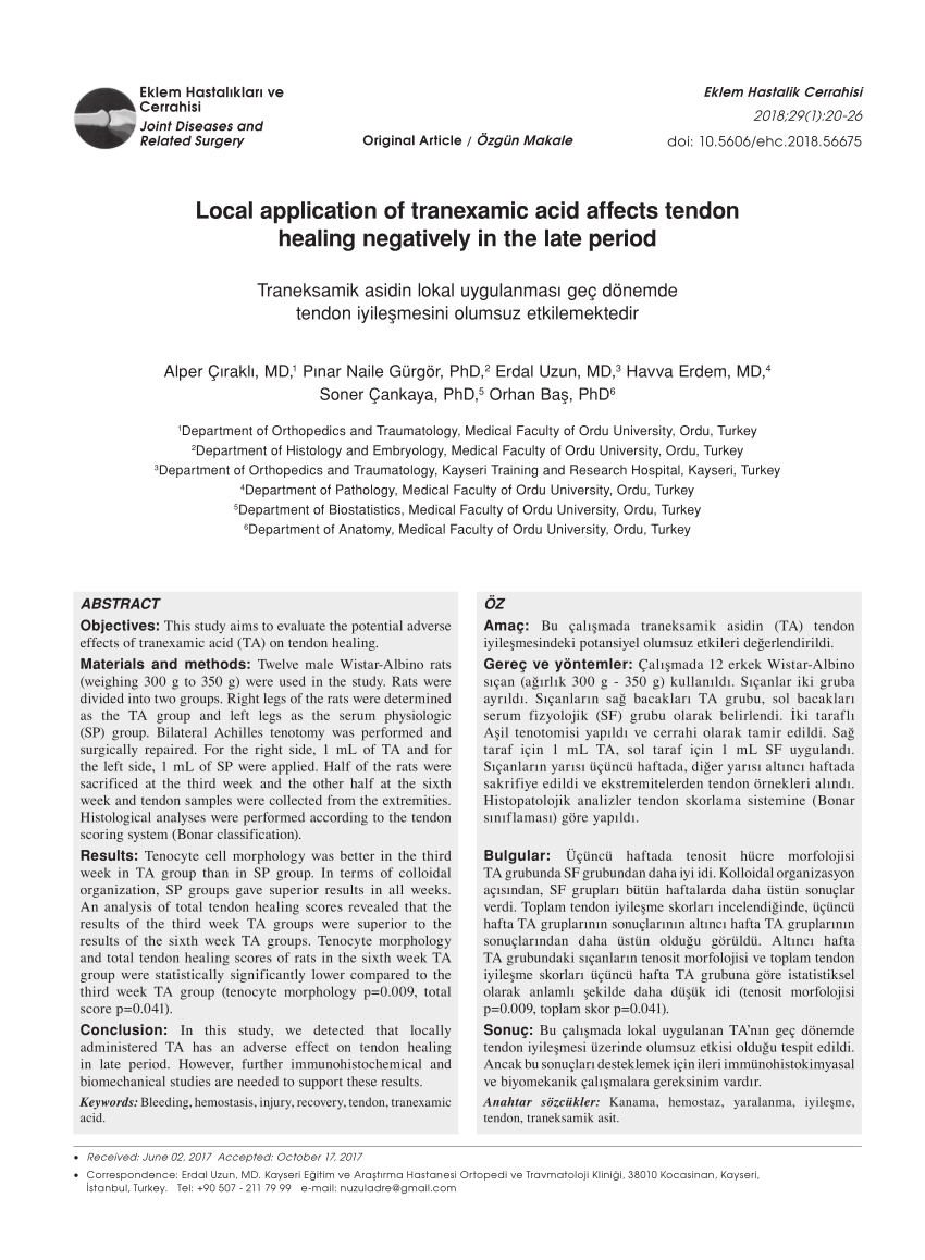 Pdf Local Application Of Tranexamic Acid Affects Tendon Healing Negatively In The Late Period