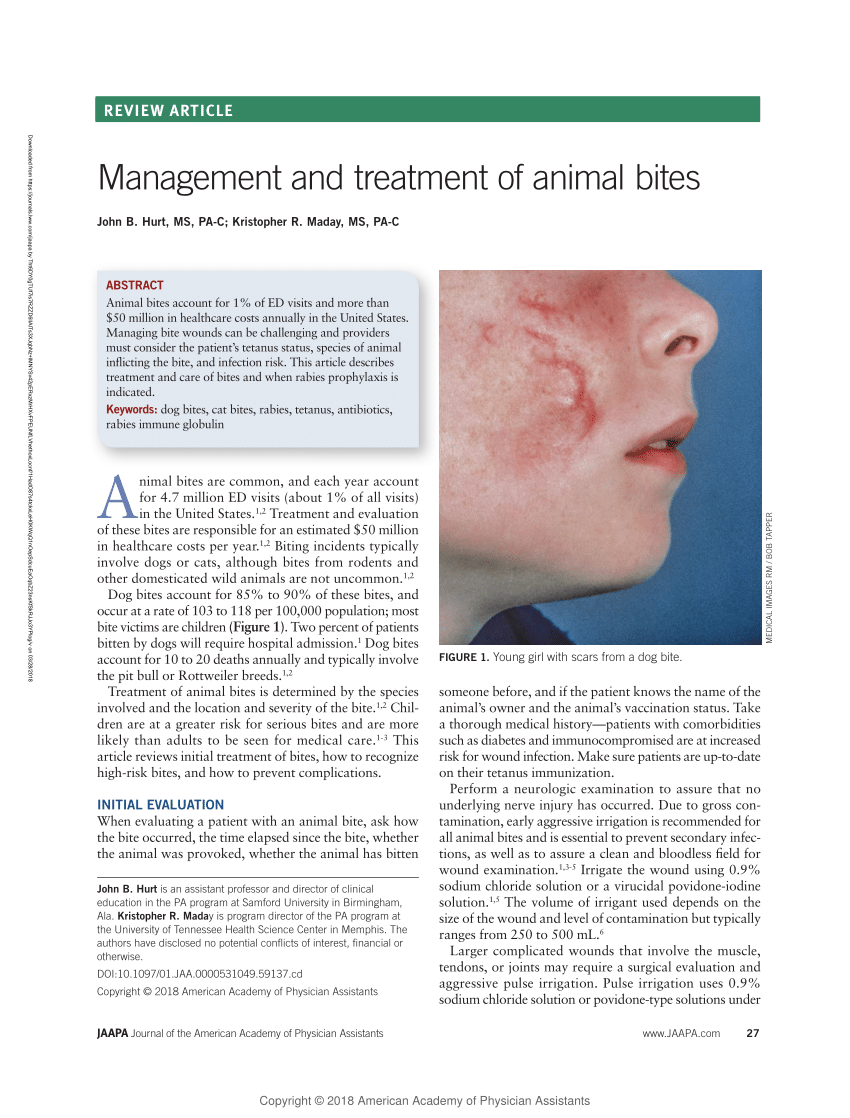 PDF) Management and treatment of animal bites