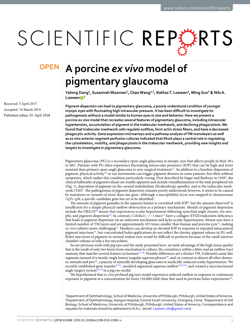 PDF) A porcine ex vivo model of pigmentary glaucoma