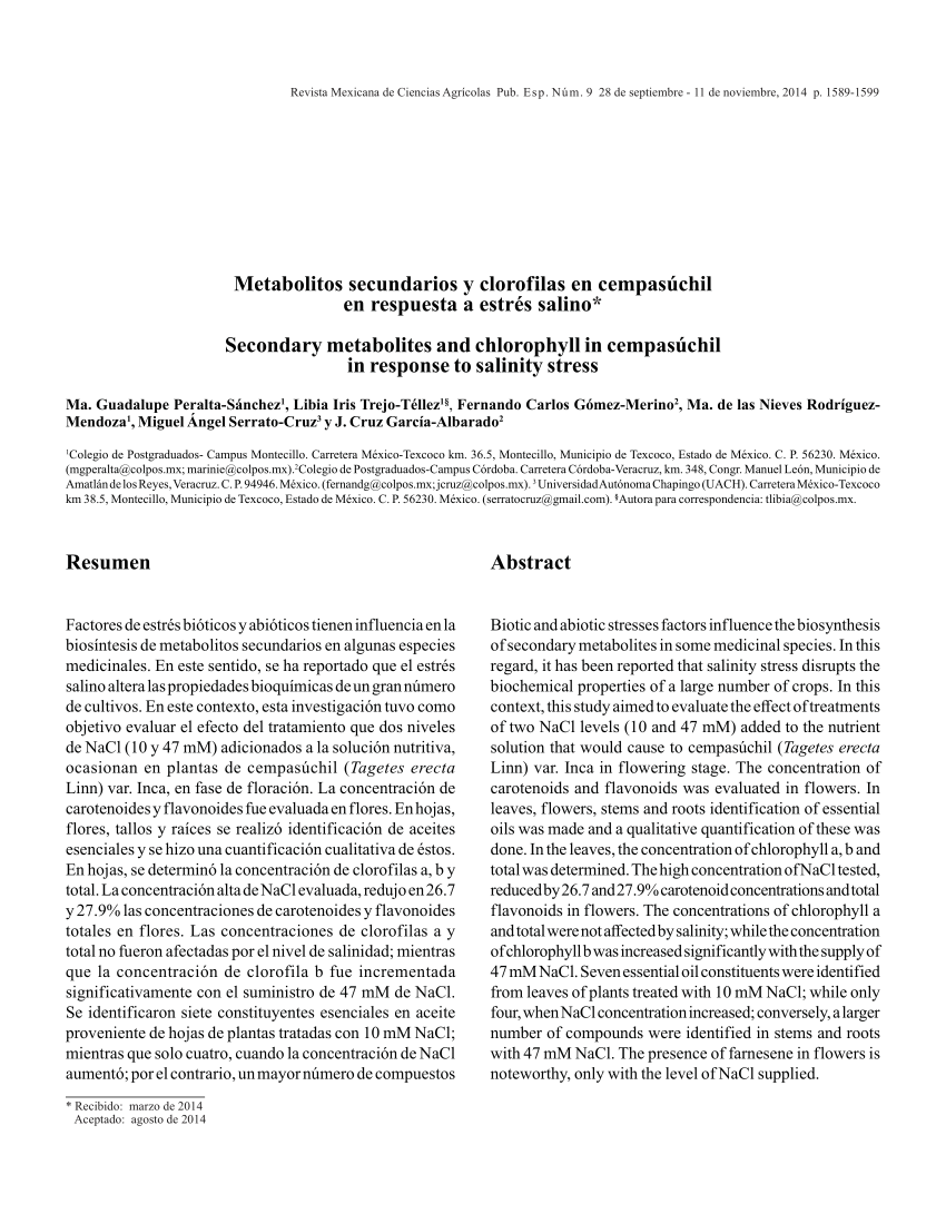 PDF) Metabolitos secundarios y clorofilas en cempasúchil en respuesta a  estrés salino