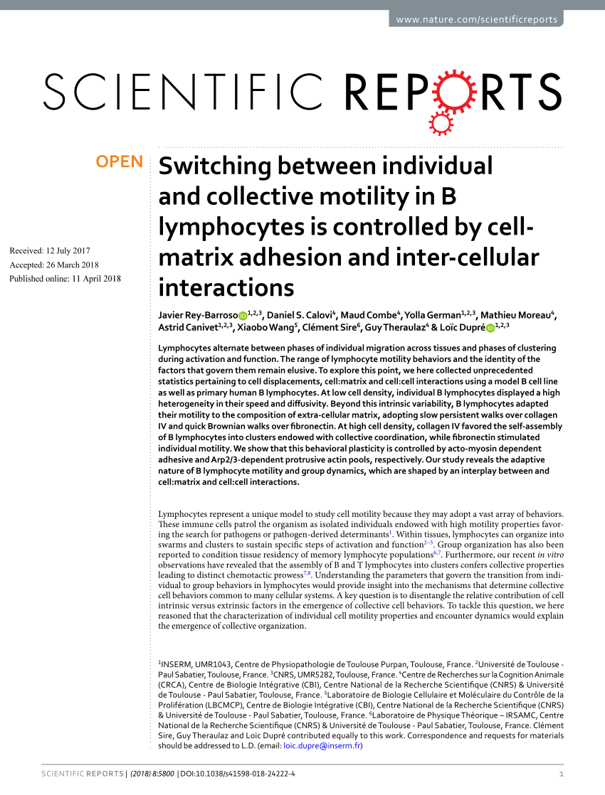 PDF) Switching between individual and collective motility in B ...
