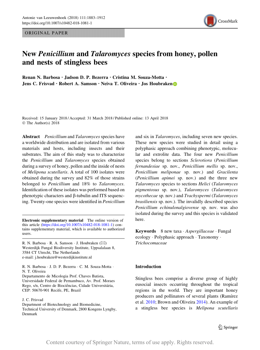Pdf New Penicillium And Talaromyces Species From Honey Pollen And Nests Of Stingless Bees