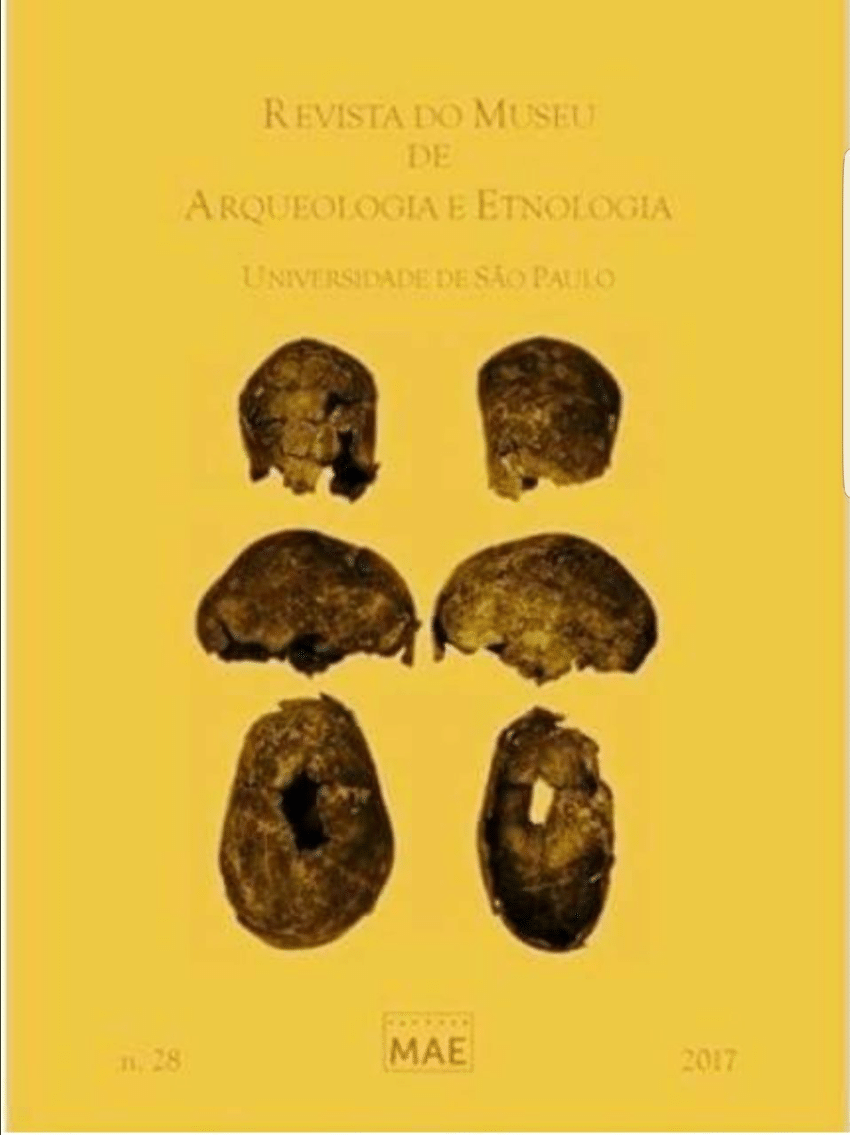 PDF) Microvestígios botânicos em artefatos líticos do sítio Lapa do Santo  (Lagoa Santa, Minas Gerais)